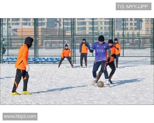 俄罗斯足球超级联赛发展现状与未来前景分析